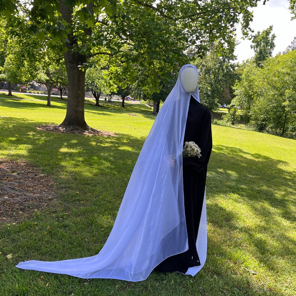Elegant Long White Veil